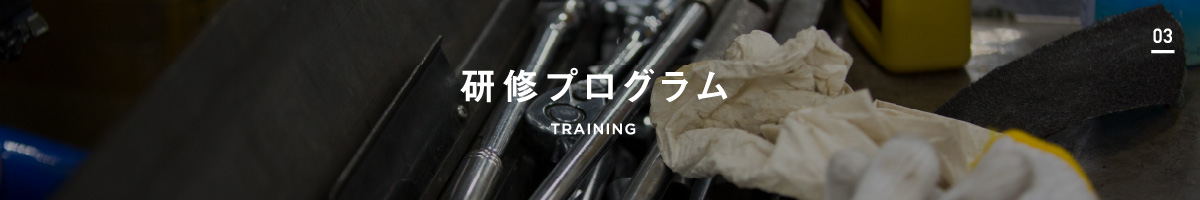 研修プログラム TRAINING