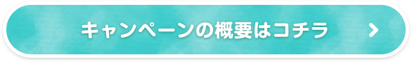キャンペーンの概要はコチラ
